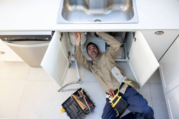 Best Plumbing Services Near Me  in St Johns, MI