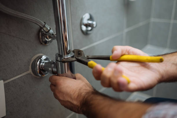 Best Drain Cleaning Services  in St Johns, MI